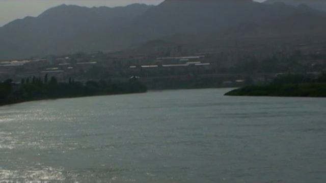 Гармония Колебаний