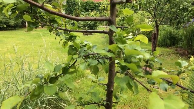 362  *  ТАКИЕ ДЕЛА. про Василису,  знатока,  агрессора +БОНУС!