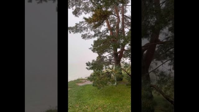 7053064f27d2a6b916a18fe07b67733e