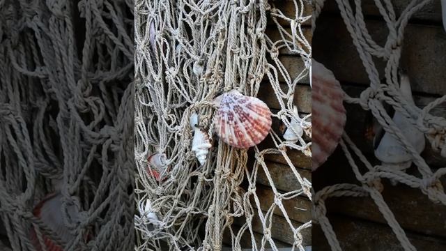 F9b0186746038425d1a20df8f8d2f870