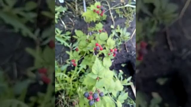 39e50761eba2f348b210d56e194611ee