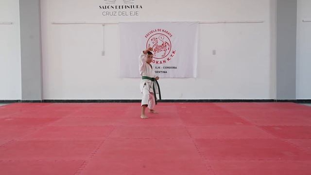 IGNACIO MOYANO LOPEZ 6 Kyu Heian Shodan Shotokan K.Y.K