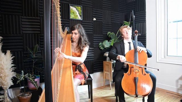 Ave Maria (Bach) - Harp And Cello