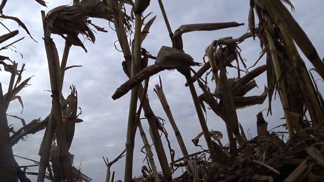 22e08e47104fde3f7e61e6fbb04680a2