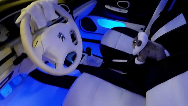 STILL THE BEST Peugeot 406