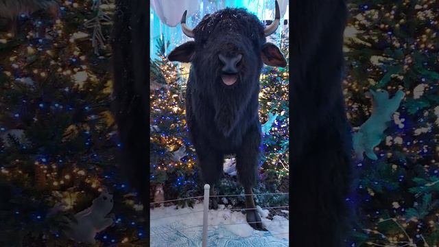 Fb07dc8b8c1123a9af8502d7723559d4