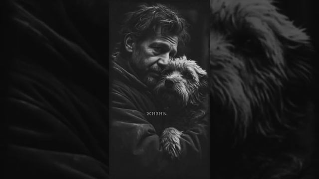 мы не одни .