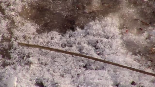 027db2dfcc9a746d272b1bd6a23d7c69