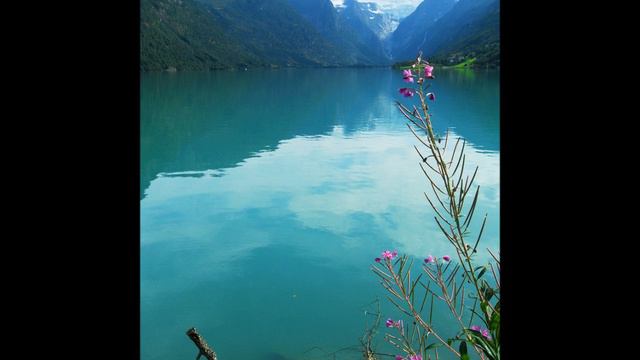 Duo Birringer - Grieg Sonata C Minor Op.45/3 - 2nd Mov.