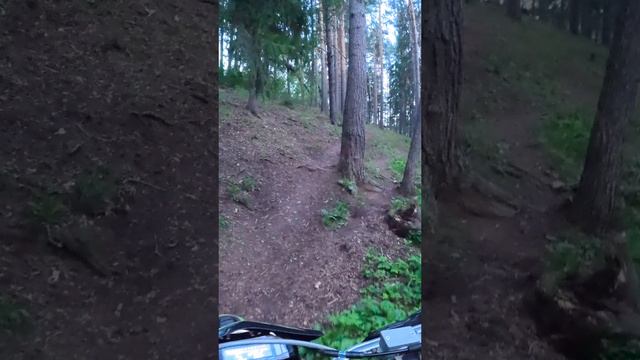 Bse Z5 катаемся по лесу