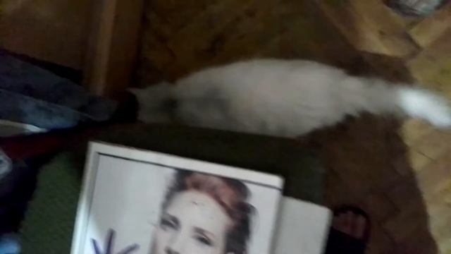 1771578b0cc1815a81f9a7ba5d378db1