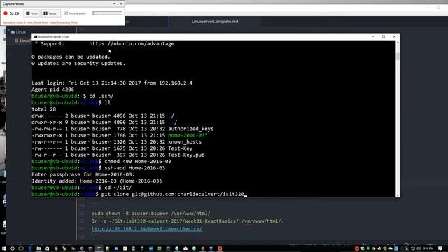 Git Repository Setup