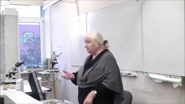 Как Язык влияет на развитие мозга. Татьяна Владимировна Черниговская