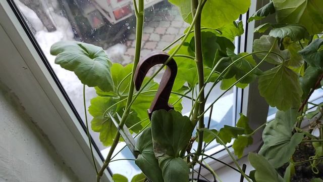 7a7f8d6248a0de50641ec36f27522251