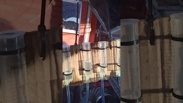 F2d58ccf476b617b71013b5782bd7022