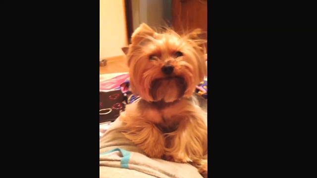 Улыбнись мне, ну улыбнись