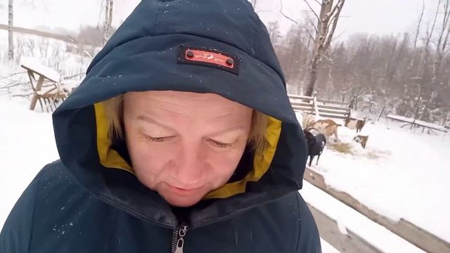 Сено закатываем на сеновал