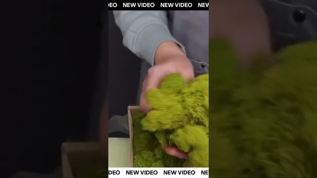 Вдохновляйтесь видео и приходите в Академию, чтобы впечатлять окружающих своими композициями ?