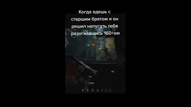 тик ток нашёл палку