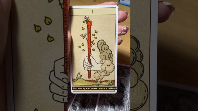 Что вам нужно знать здесь и сейчас?