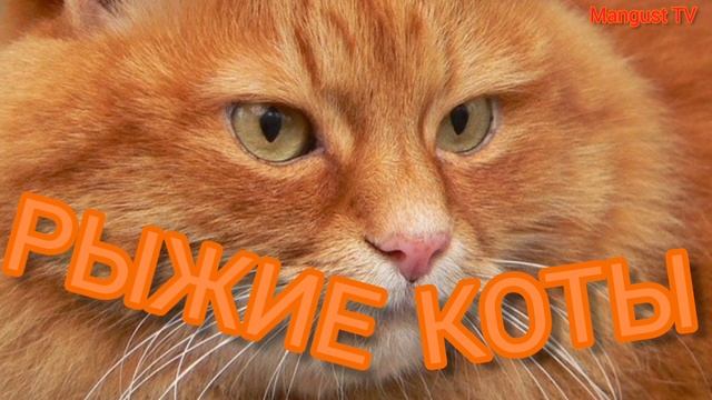 Aa4b1658b3a21dff69b91ac21be57aff