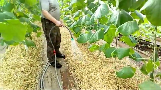 23/19 Дела тепличные на 30.03.2019г.