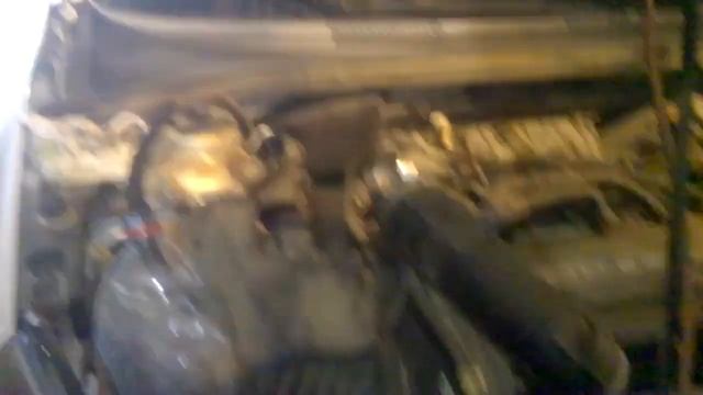 Жизнь в обновленной обстановке