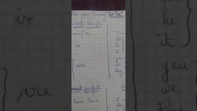 Revision Of The Auxiliaries 