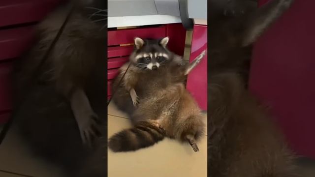 998e9dd338d881f51fa33efc106c5ff1