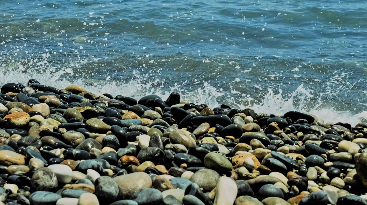 Bf28e2cfccf76b7f43f44cf4cc33c2de