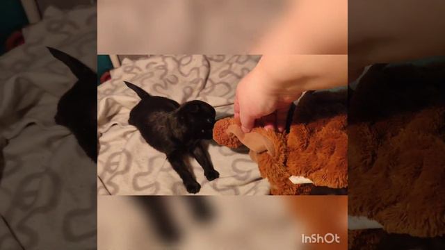 2637b31b8e0481f73926fece58fad0cc