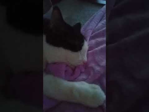 КУЗЯ СЛАДКО СПИТ