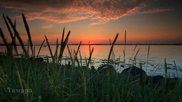 21f67647a6864700ea0a0f9ef70da268