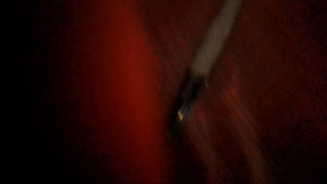 черепашьи # бега# на# канале# Фёдор гу# желейный # слон# хобот# и # желейная # горилла # манки #