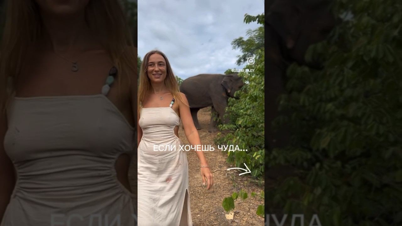 ЕСЛИ ХОЧЕШЬ ЧУДА… #психология_успеха #подсознаниеможетвсе #саморазвитиеличности