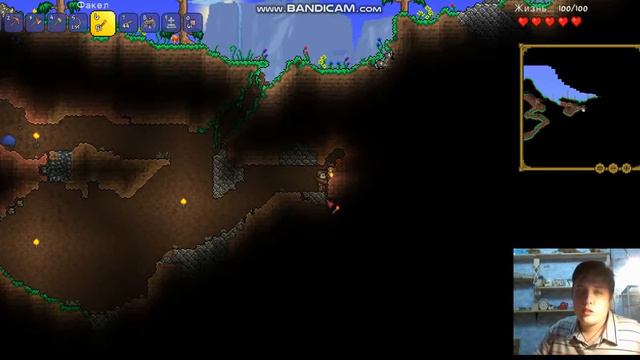 ВЫЖИВАНИЕ В ИГРЕ TERRARIA I TERRARIA ВЕРСИЯ 1.3.5.3 I МАТВЕЙ И ИГРЫ ПРО ВЫЖИВАНИЕ! #2