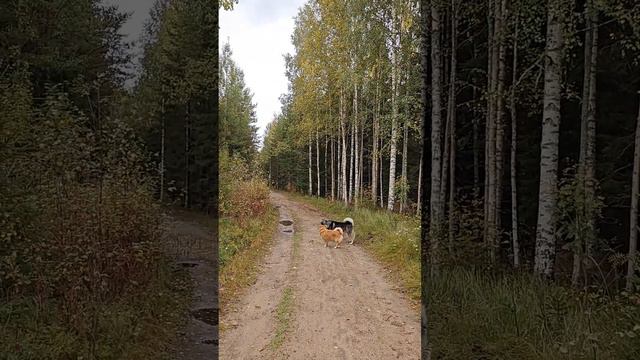 7aa073bffa699343c8b8121cb0a9e061