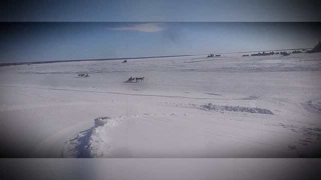 День оленевода 30.03.2019 г., гонки на оленьих упряжках /  Салехард / ЯНАО / Ямал