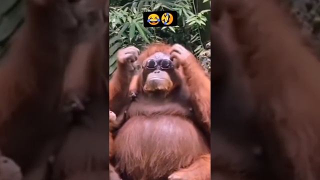 41602054fa99190d6b2203d9692504a8