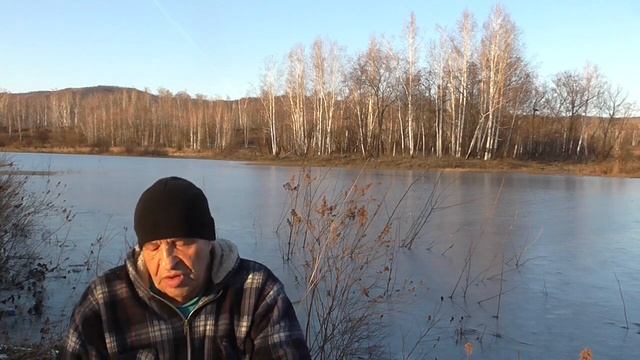 Находчивый кулик , рассказ для детей и взрослых