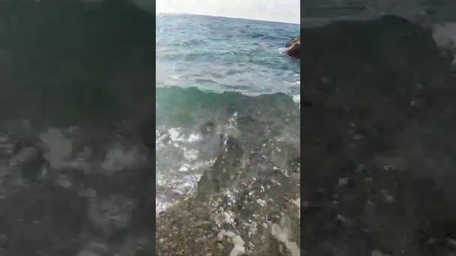 Сорренто. пляж,,черепаха,, лето 2021