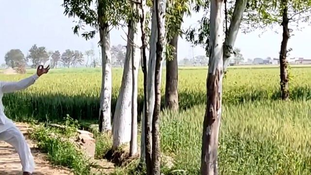 Use Of Slingshot For Target Practice