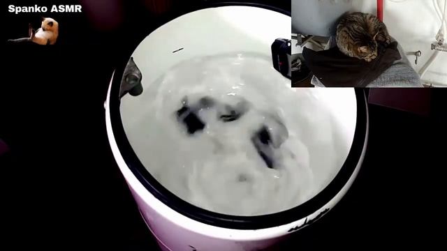 89c1a24ad4e34b2e14bdd994cdf9ee81