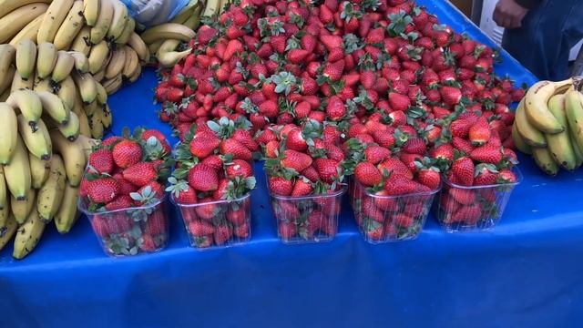 Vlog 1 | переехала в турцию?