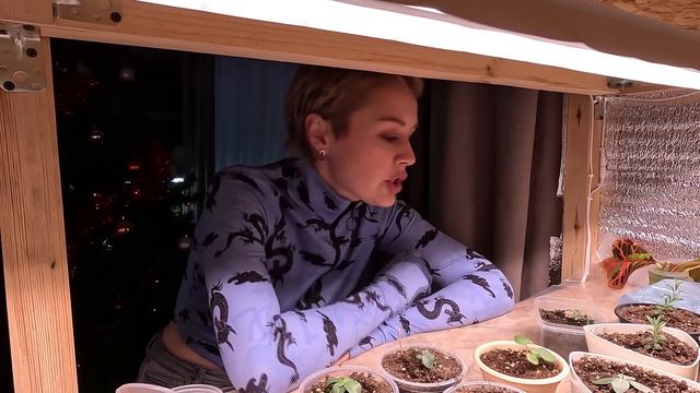 УЖАС,А НЕ ВСХОЖЕСТЬ СЕМЯН ЦВЕТОВ