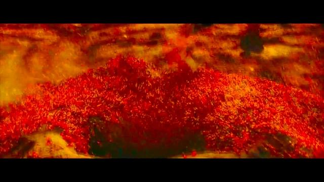 You Would Not Believe Your Eyes , If Ten Trillion Fireflies