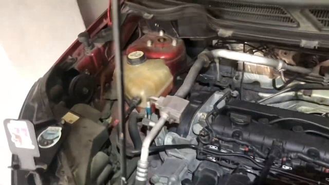 Автоэксперименты с экспертом