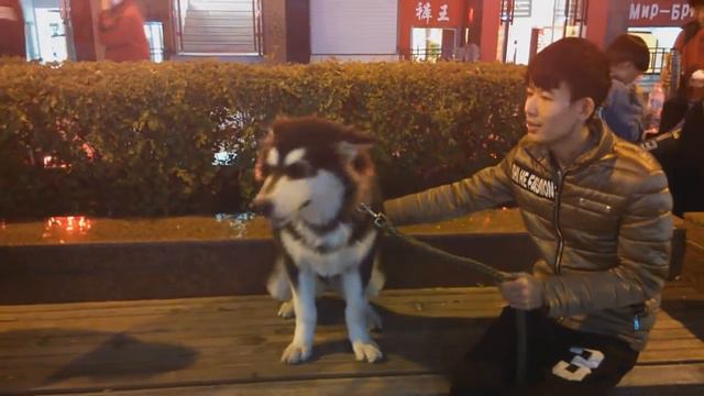 F73e6ee2b845d37e4920ce84385775e9