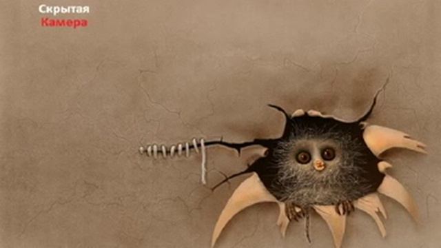 (#4)Скрытая Камера: Столб