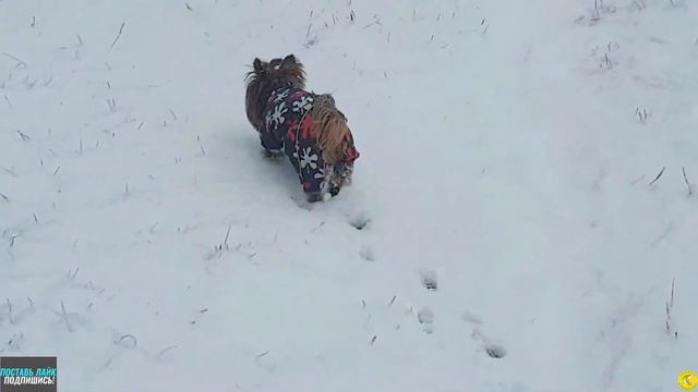 523bd0c1e2bdb9cf7f7497732ed8f8dc